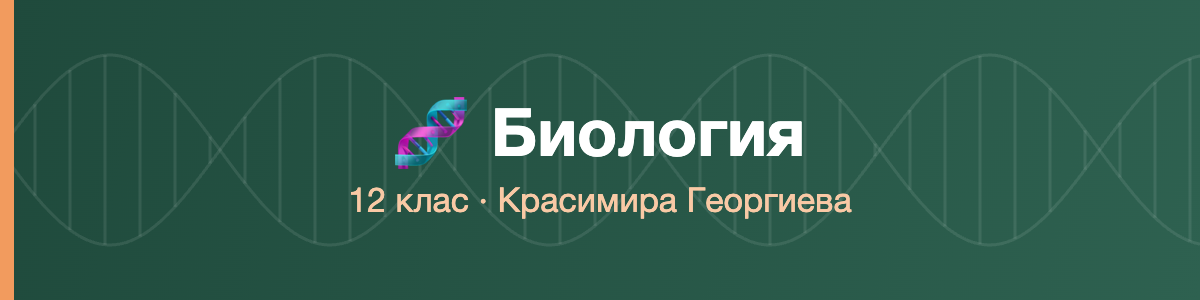 Биология 12 клас · Георгиева · 2026/27